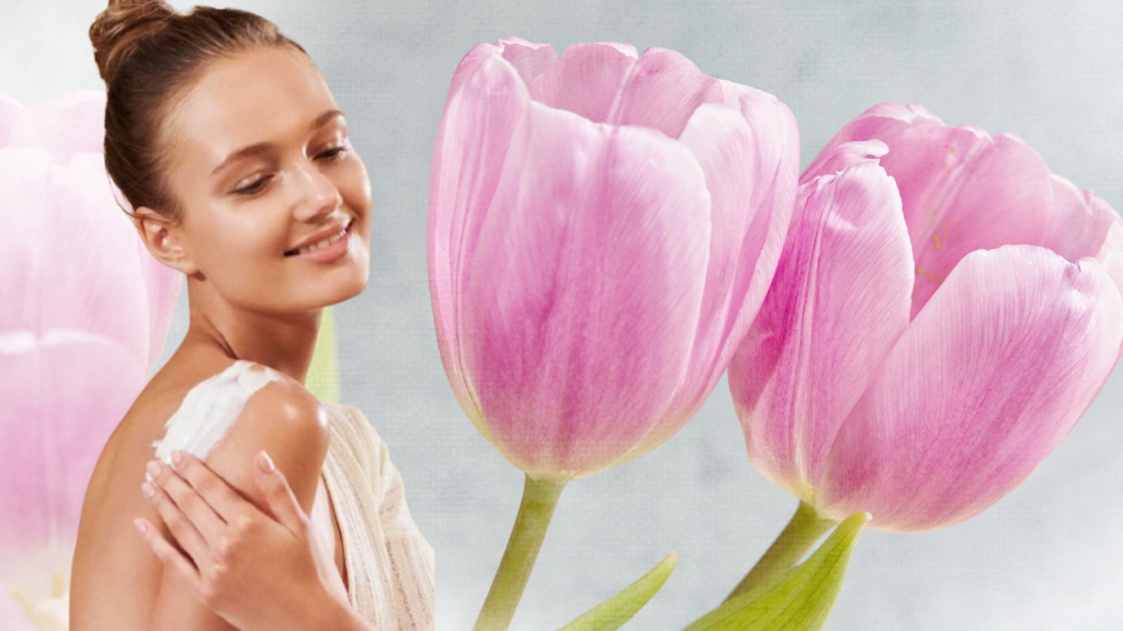 Wishcare sunscreen body lotion