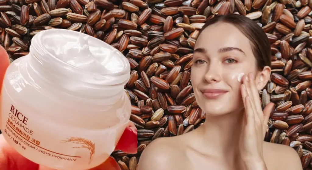 Rice Ceramide Cream Benefits Korean skincare 